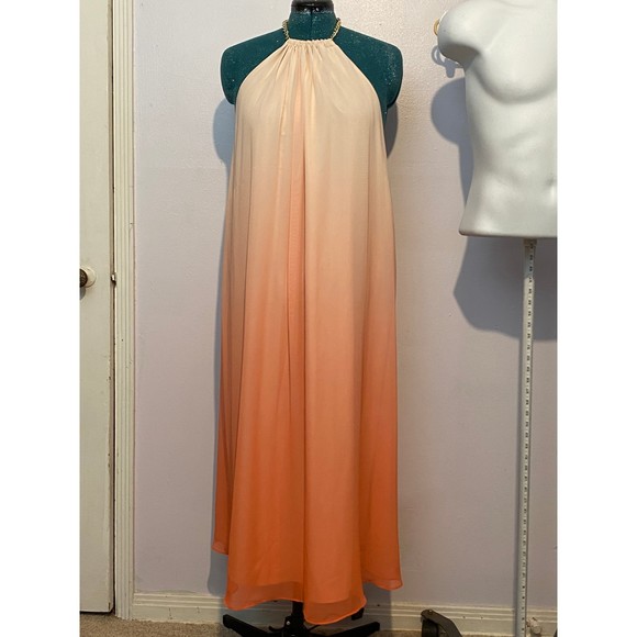 Jennifer Lopez Maxi Dress - Picture 1 of 5